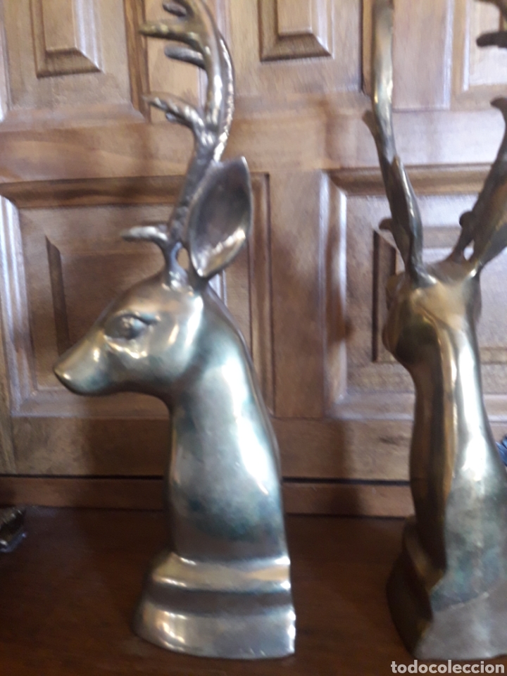 Arte: Dos figuras de bronce de ciervos - Foto 4