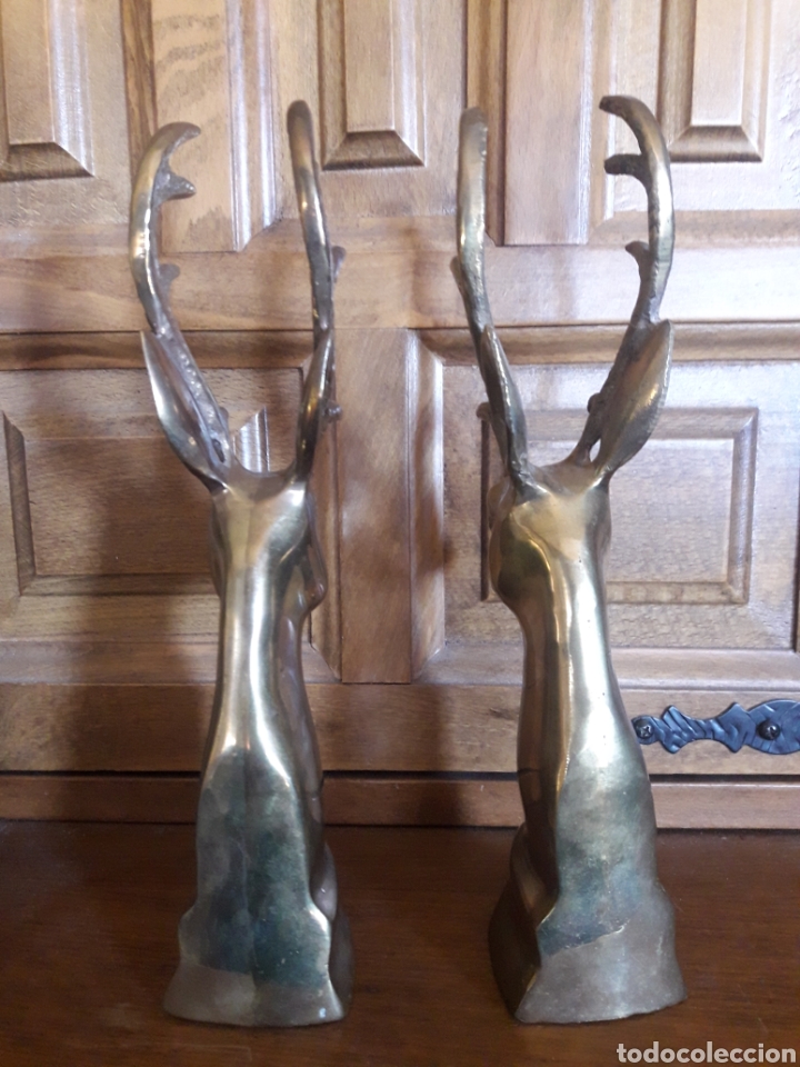 Arte: Dos figuras de bronce de ciervos - Foto 6