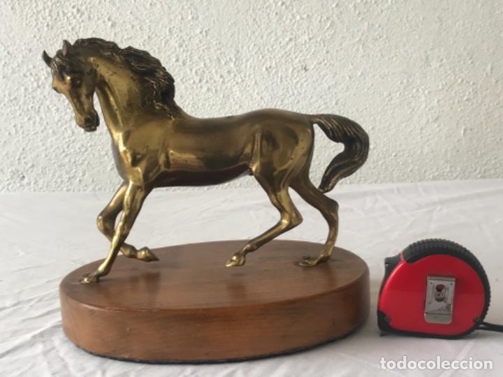 Arte: CABALLO DE BRONCE SOBRE BASE DE MADERA. - Foto 1
