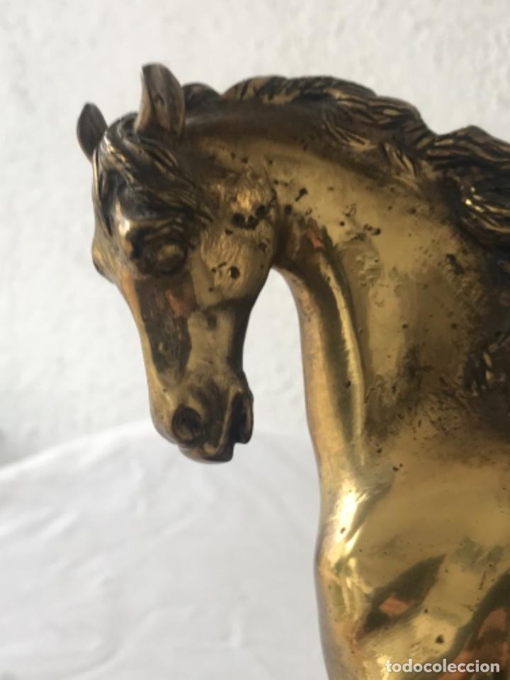 Arte: CABALLO DE BRONCE SOBRE BASE DE MADERA. - Foto 2