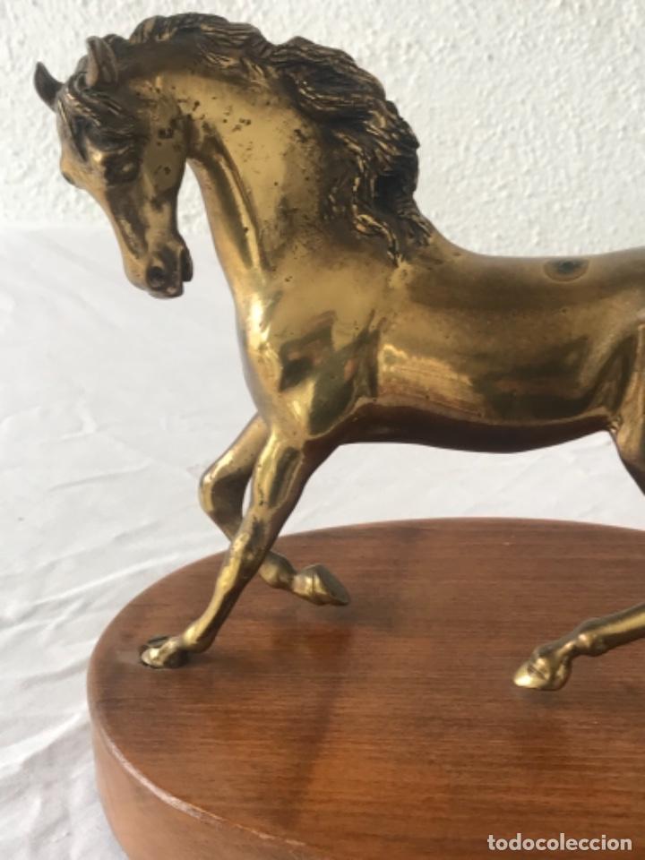 Arte: CABALLO DE BRONCE SOBRE BASE DE MADERA. - Foto 3
