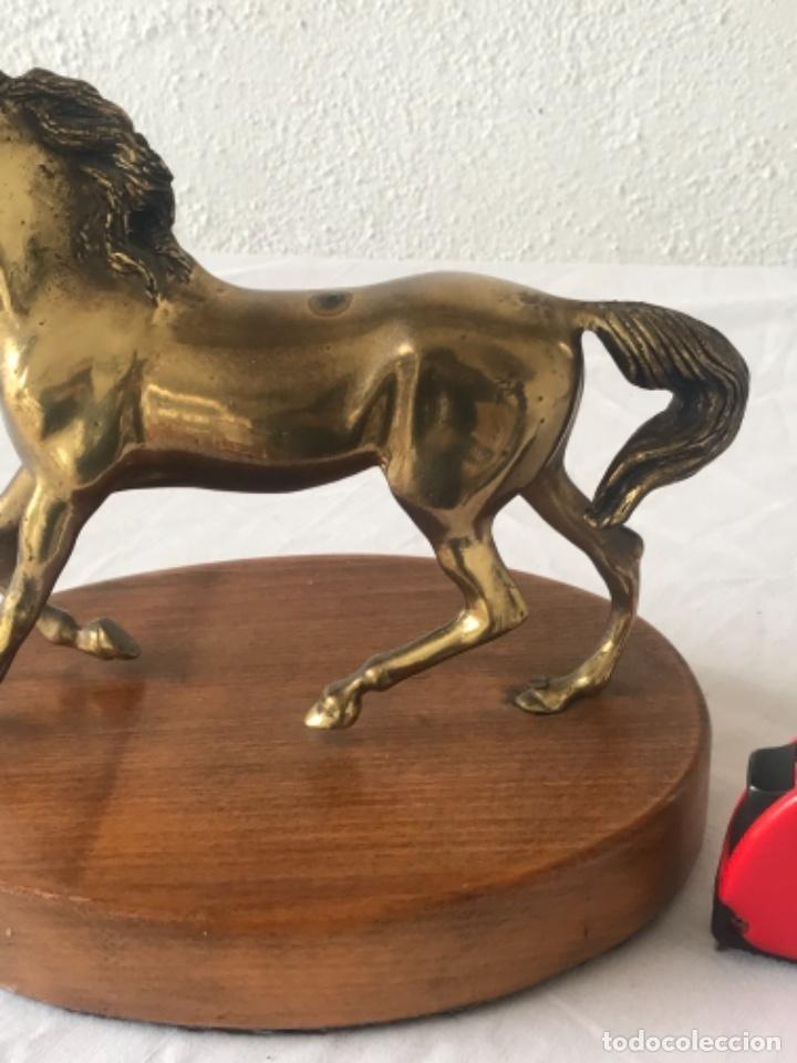 Arte: CABALLO DE BRONCE SOBRE BASE DE MADERA. - Foto 4