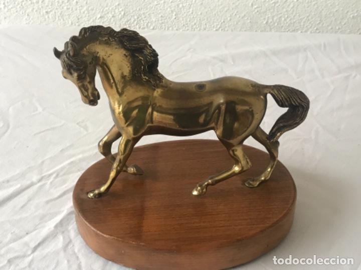 Arte: CABALLO DE BRONCE SOBRE BASE DE MADERA. - Foto 5