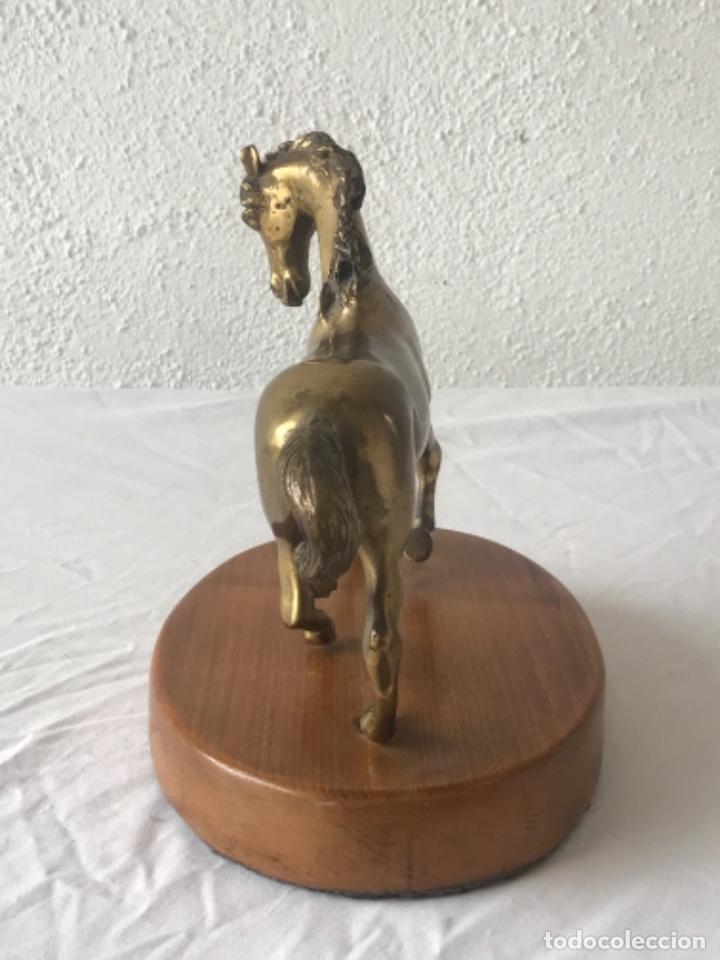 Arte: CABALLO DE BRONCE SOBRE BASE DE MADERA. - Foto 6