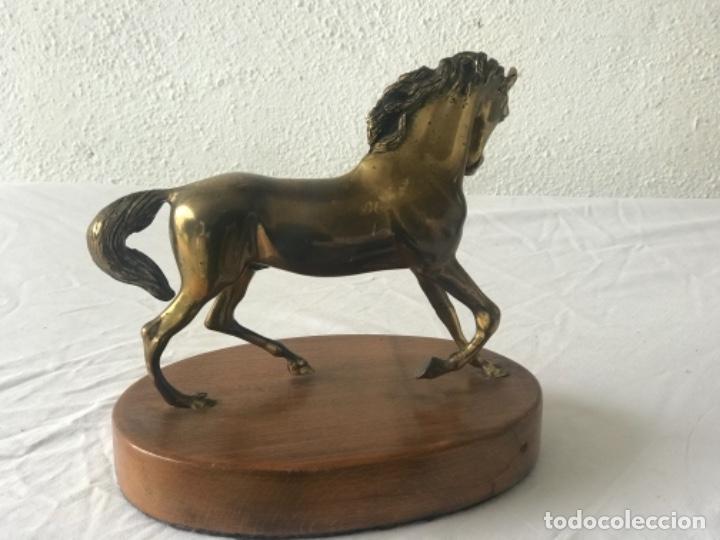 Arte: CABALLO DE BRONCE SOBRE BASE DE MADERA. - Foto 7