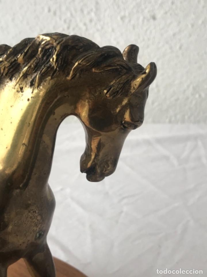 Arte: CABALLO DE BRONCE SOBRE BASE DE MADERA. - Foto 8