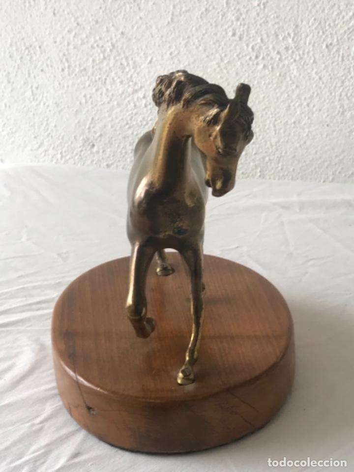 Arte: CABALLO DE BRONCE SOBRE BASE DE MADERA. - Foto 9