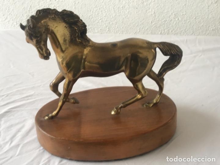 Arte: CABALLO DE BRONCE SOBRE BASE DE MADERA. - Foto 10