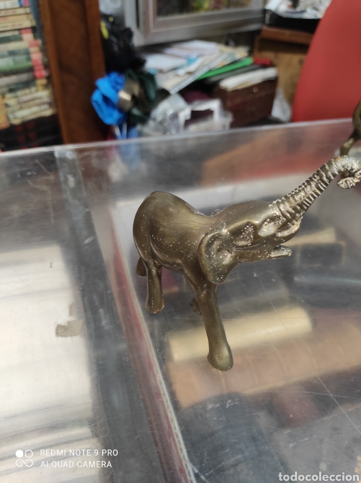 Arte: Elefante en bronce - Foto 2