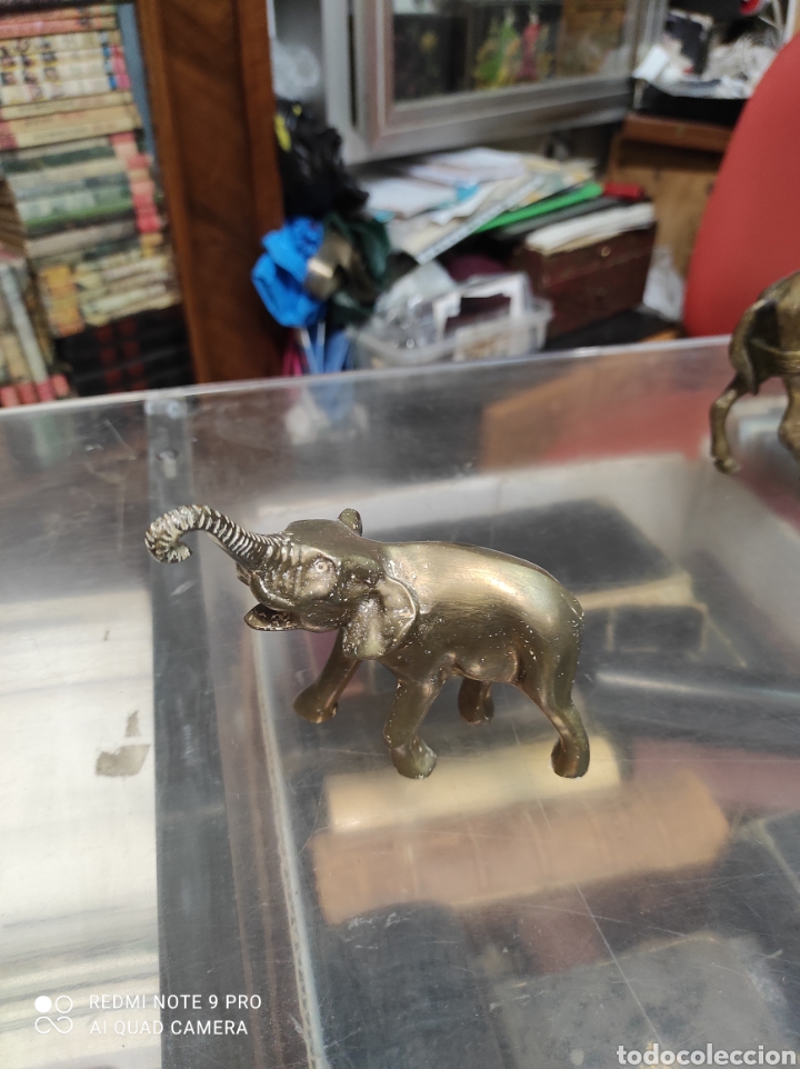 Arte: Elefante en bronce - Foto 1