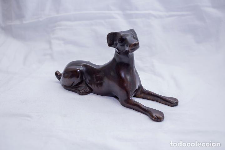 Arte: Perro de bronce - Foto 1