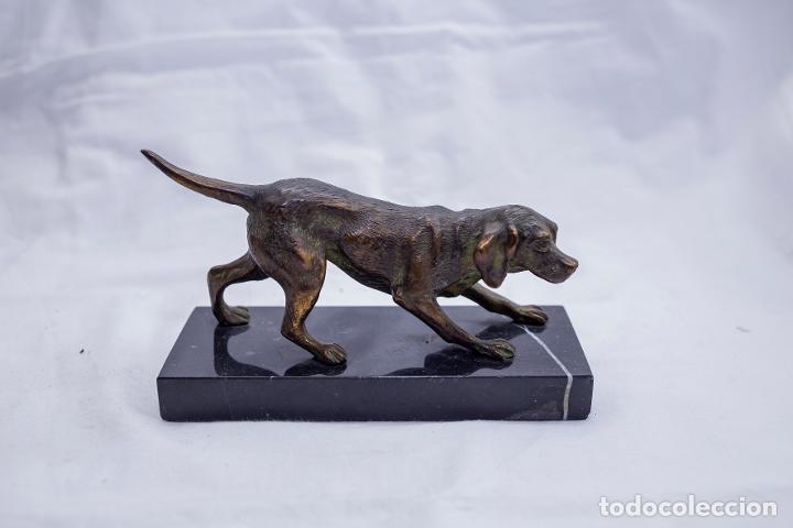 Arte: Perro de bronce - Foto 3