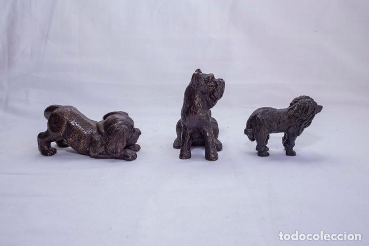 Arte: Perros de Bronce - Foto 2