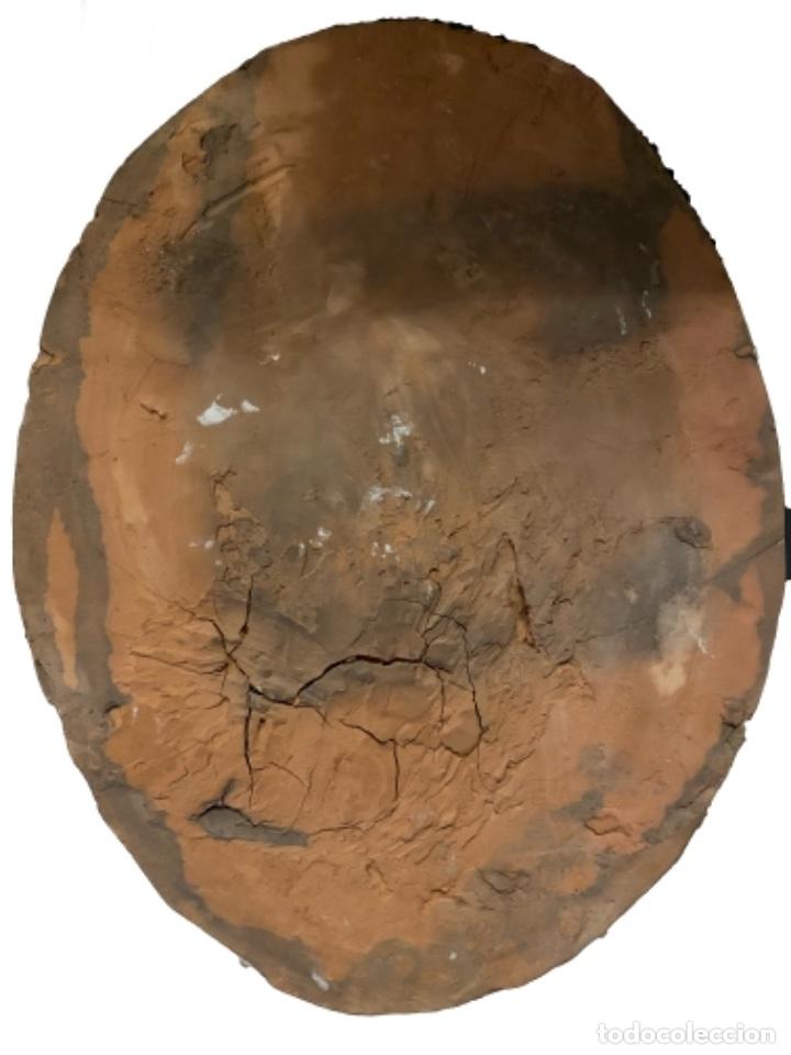 Arte: Medall&oacute;n de terracota - Foto 2