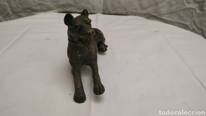 Arte: Figura de perro de bronce - Foto 2