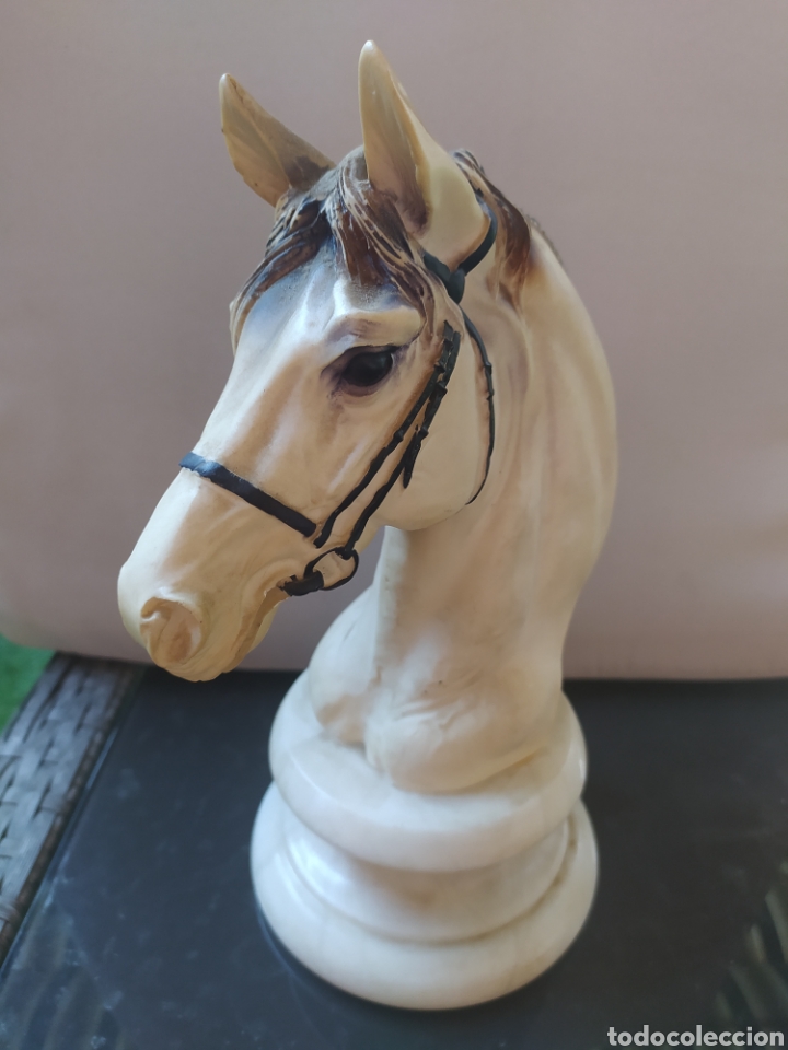 Arte: Busto de caballo - Foto 2