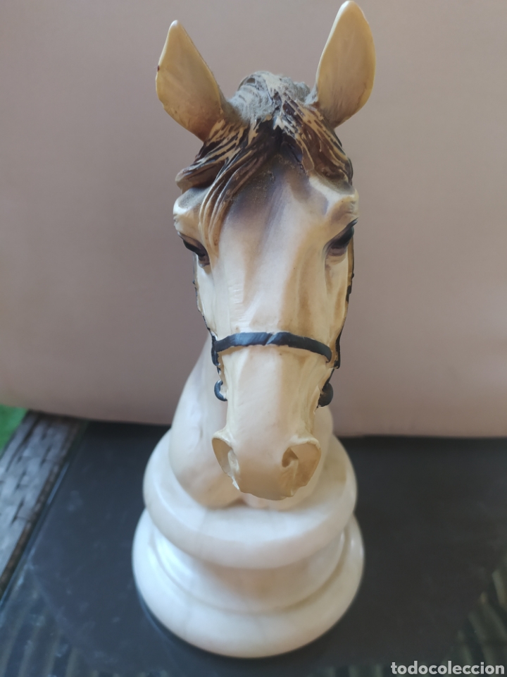 Arte: Busto de caballo - Foto 3