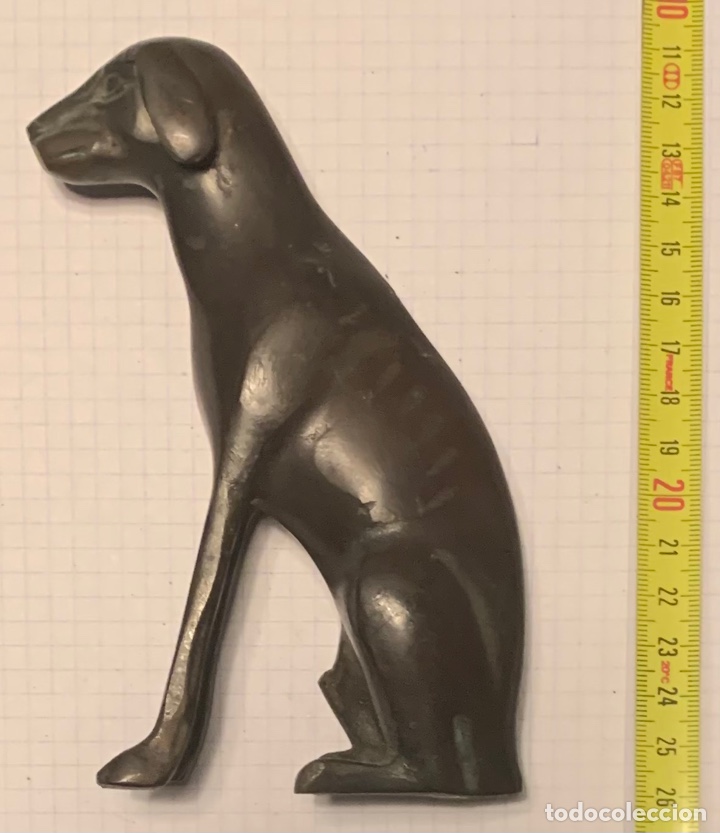 Arte: Bronce figura perro - Foto 2