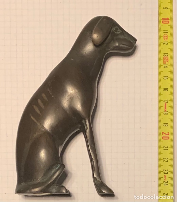 Arte: Bronce figura perro - Foto 1