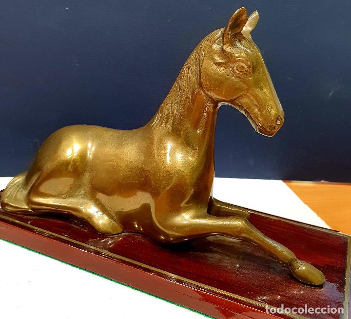 Arte: Caballo sentado de bronce sobre base de madera. - Foto 1