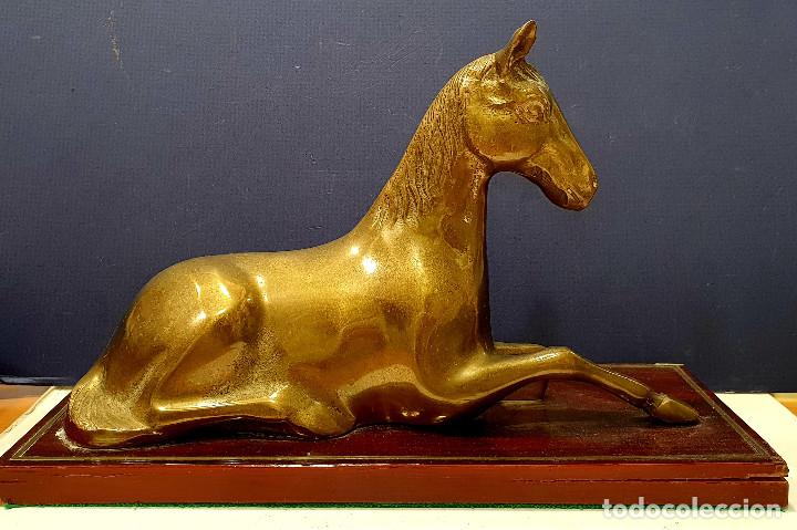 Arte: Caballo sentado de bronce sobre base de madera. - Foto 3