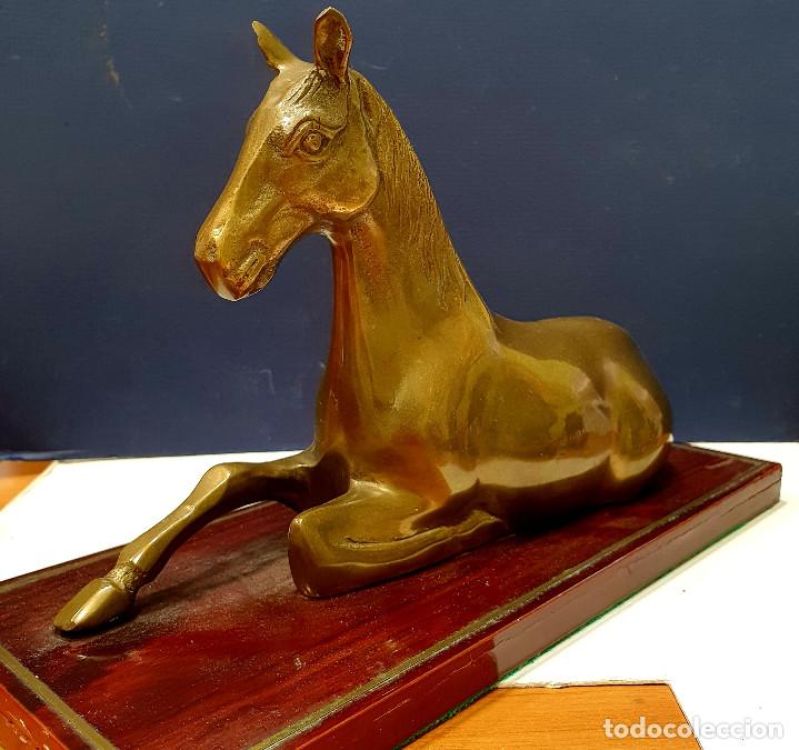 Arte: Caballo sentado de bronce sobre base de madera. - Foto 4
