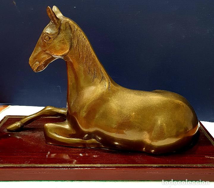 Arte: Caballo sentado de bronce sobre base de madera. - Foto 5