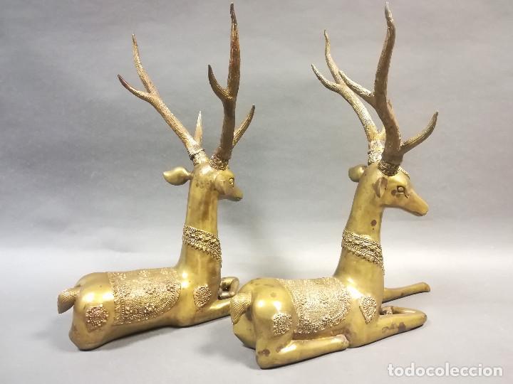 Arte: FIGURA DE CIERVO DE BRONCE - Foto 4