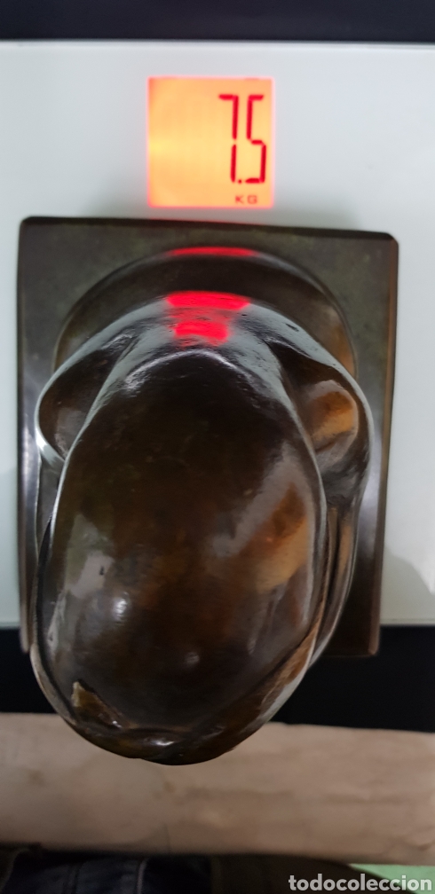 Arte: Bronce PAMPIN 78 - Foto 13
