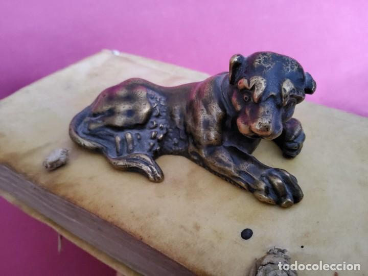 Arte: ANTIGUO PUMA DE BRONCE - Foto 4