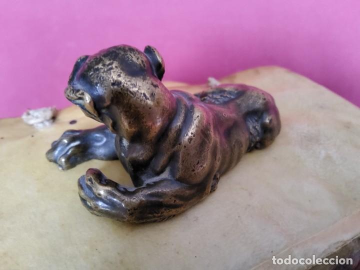 Arte: ANTIGUO PUMA DE BRONCE - Foto 6