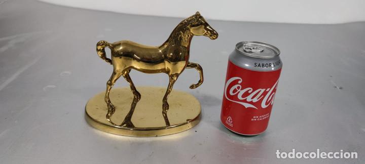 Arte: Figura caballo de bronce - Foto 1