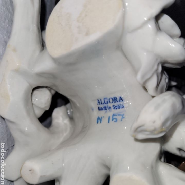 Arte: Jabali de ALGORA, numerado - Foto 6