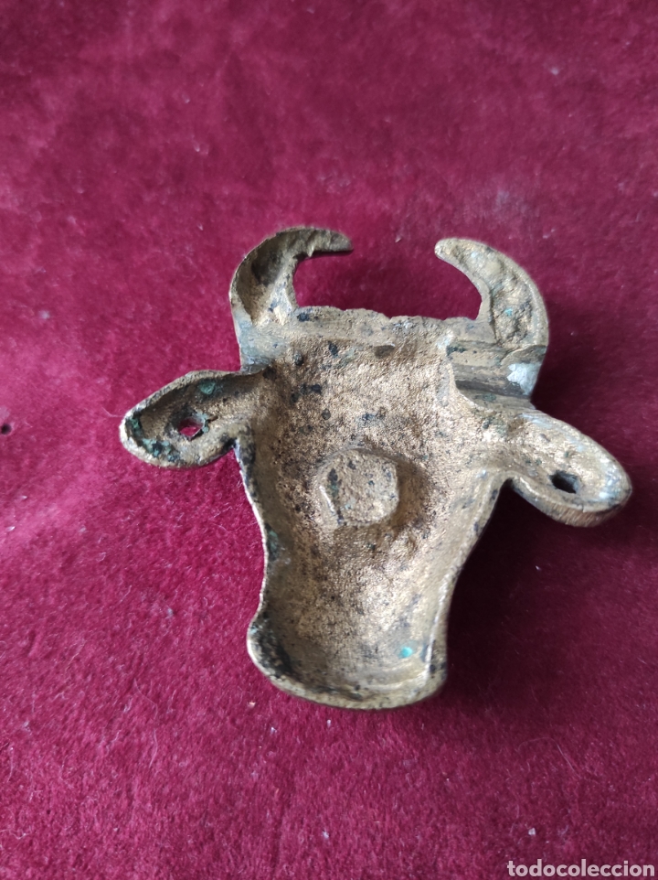 Arte: Cabeza de toro en bronce - Foto 4