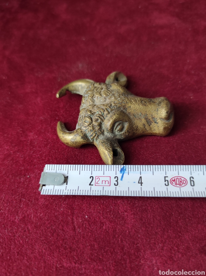 Arte: Cabeza de toro en bronce - Foto 5