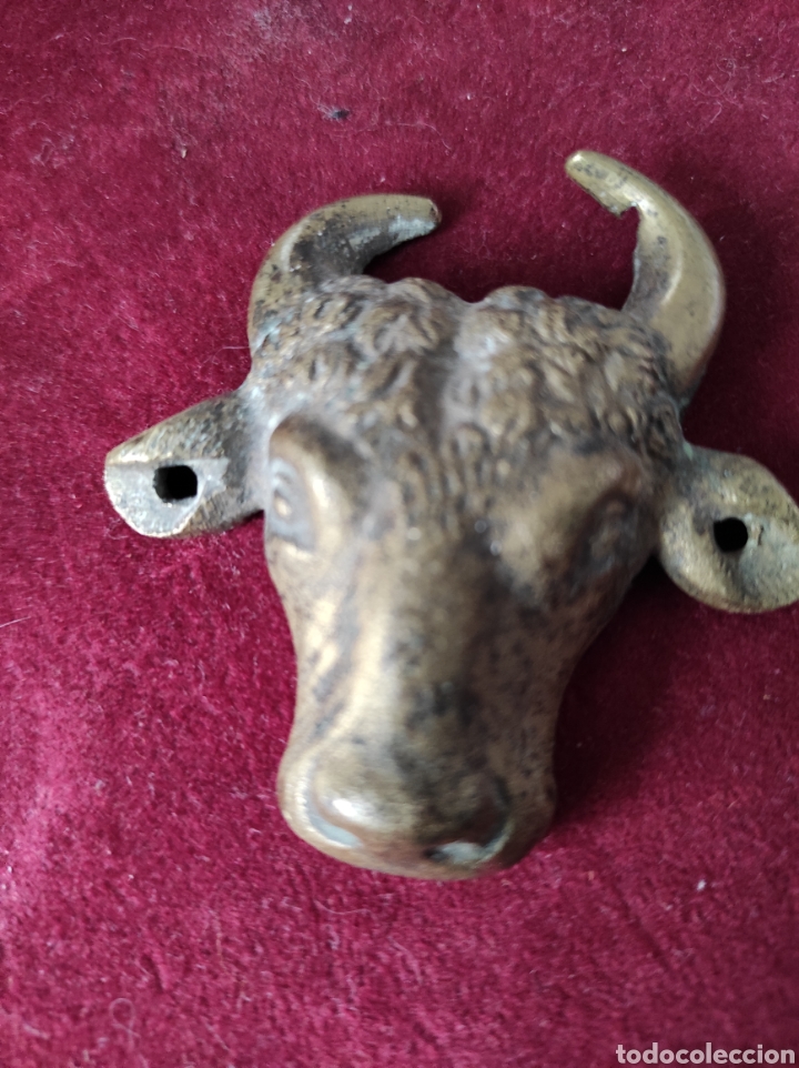 Arte: Cabeza de toro en bronce - Foto 1