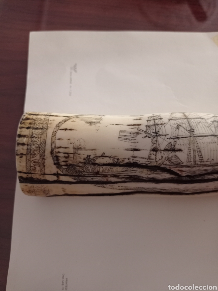Arte: Colmillo de morsa grabado - Foto 3