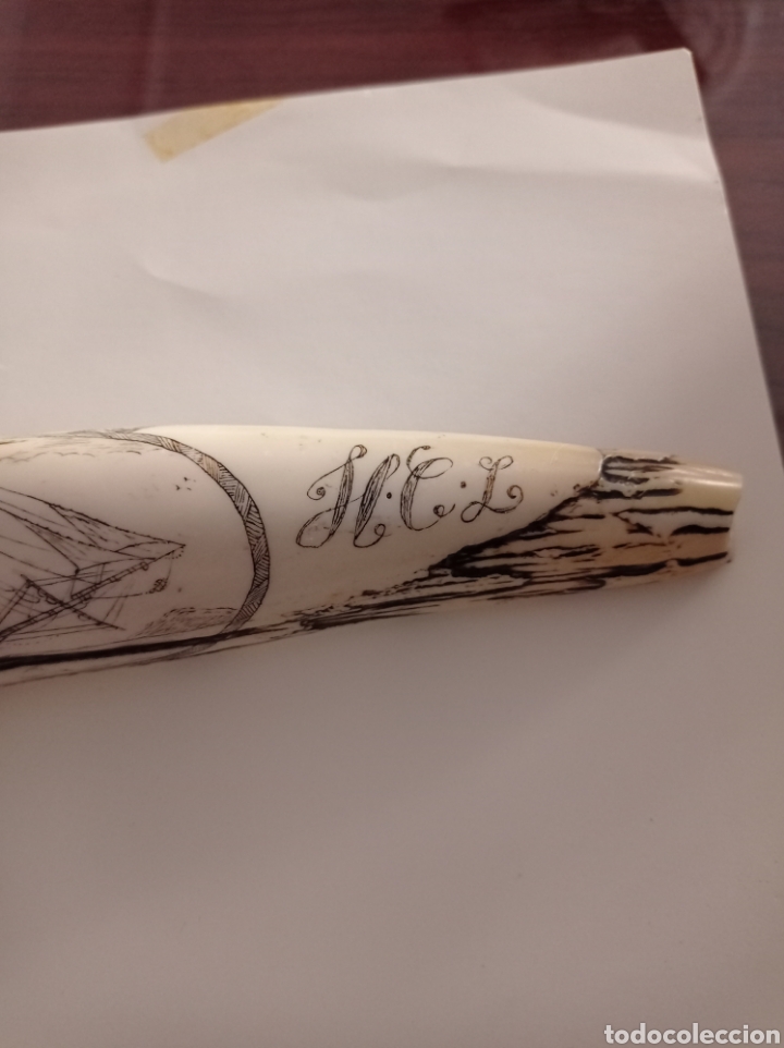 Arte: Colmillo de morsa grabado - Foto 4