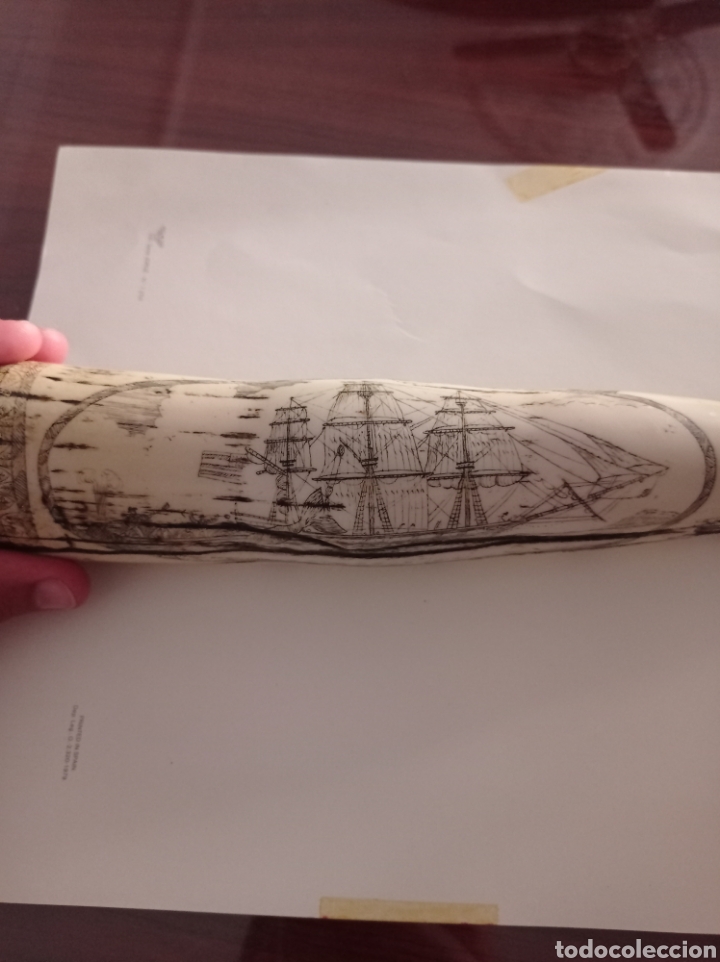 Arte: Colmillo de morsa grabado - Foto 5