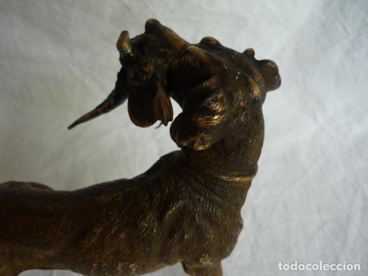 Arte: Magn&iacute;fica figura de bronce, perro con becada en la boca - Foto 10