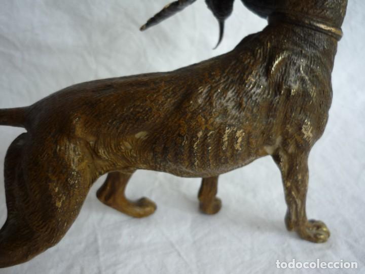 Arte: Magn&iacute;fica figura de bronce, perro con becada en la boca - Foto 11