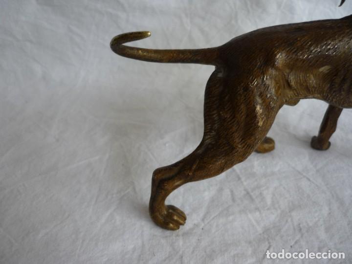 Arte: Magn&iacute;fica figura de bronce, perro con becada en la boca - Foto 12