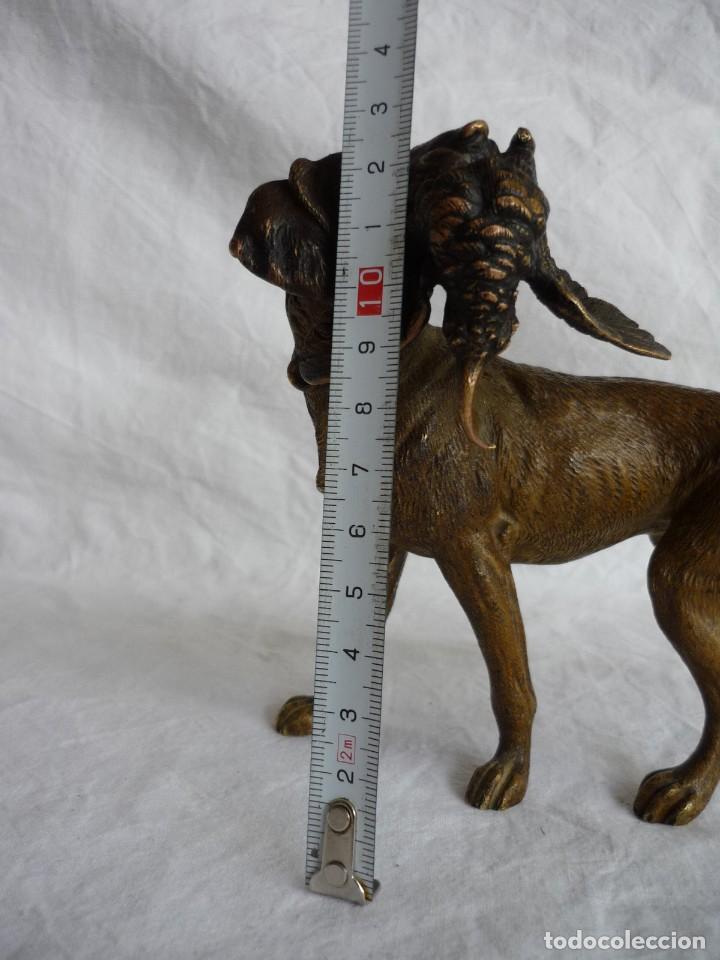 Arte: Magn&iacute;fica figura de bronce, perro con becada en la boca - Foto 22