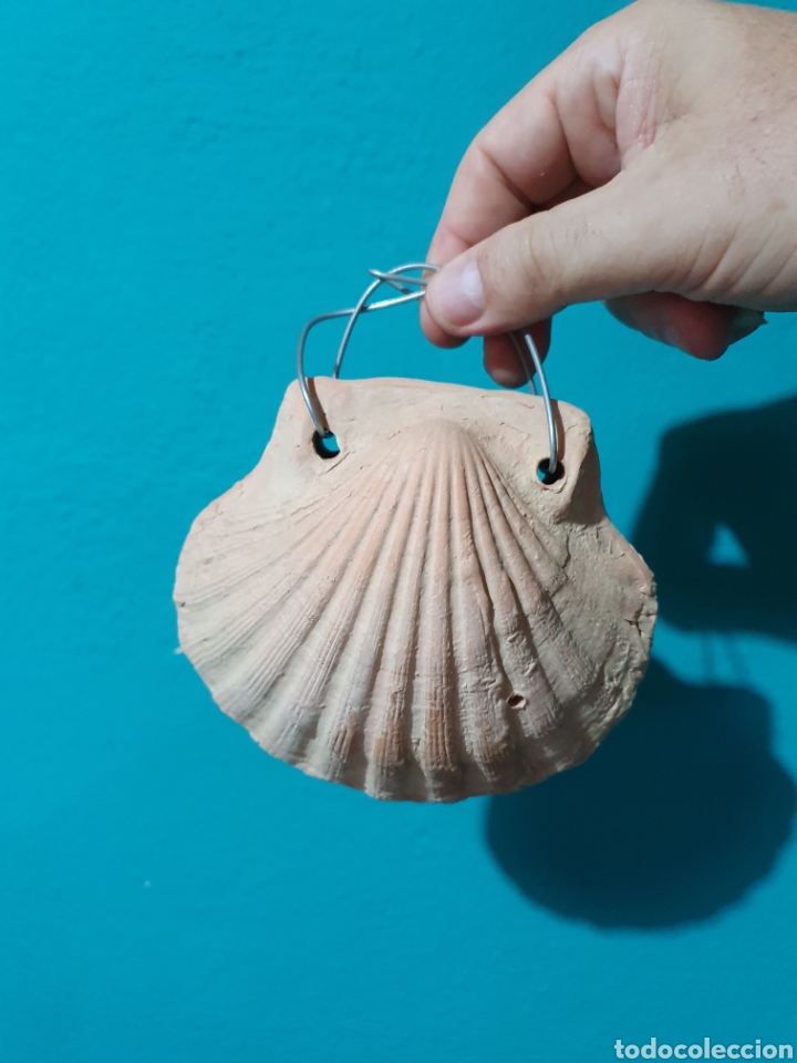 Arte: CONCHA REALIZADA EN TERRACOTA - Foto 1
