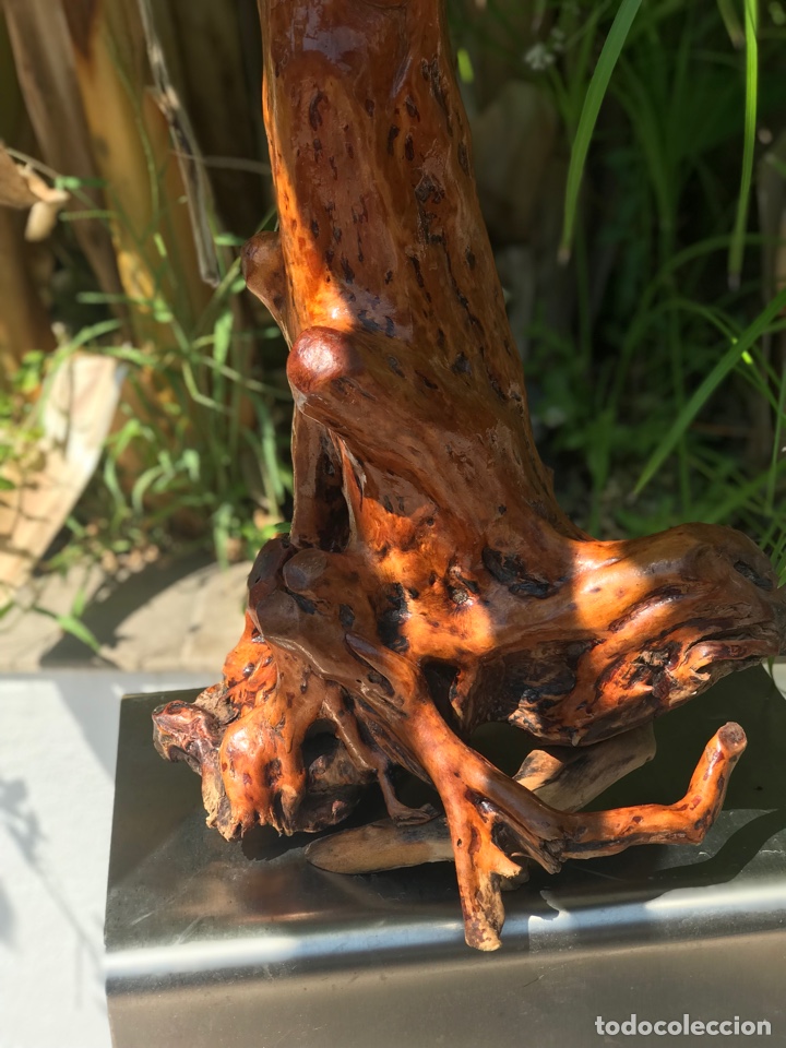 Arte: DIOS DE LA LONGEVIDAD - Foto 3