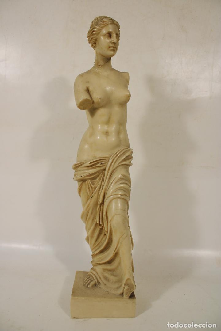 Arte: venus de milo en resina - Foto 1