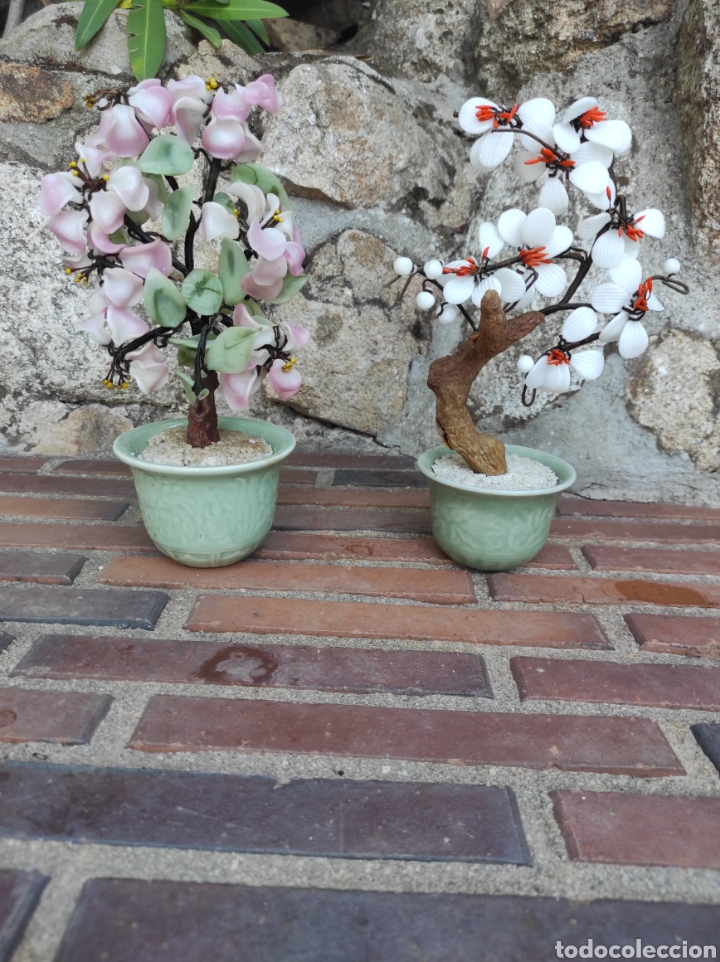 Arte: Bonsai de porcelana - Foto 5