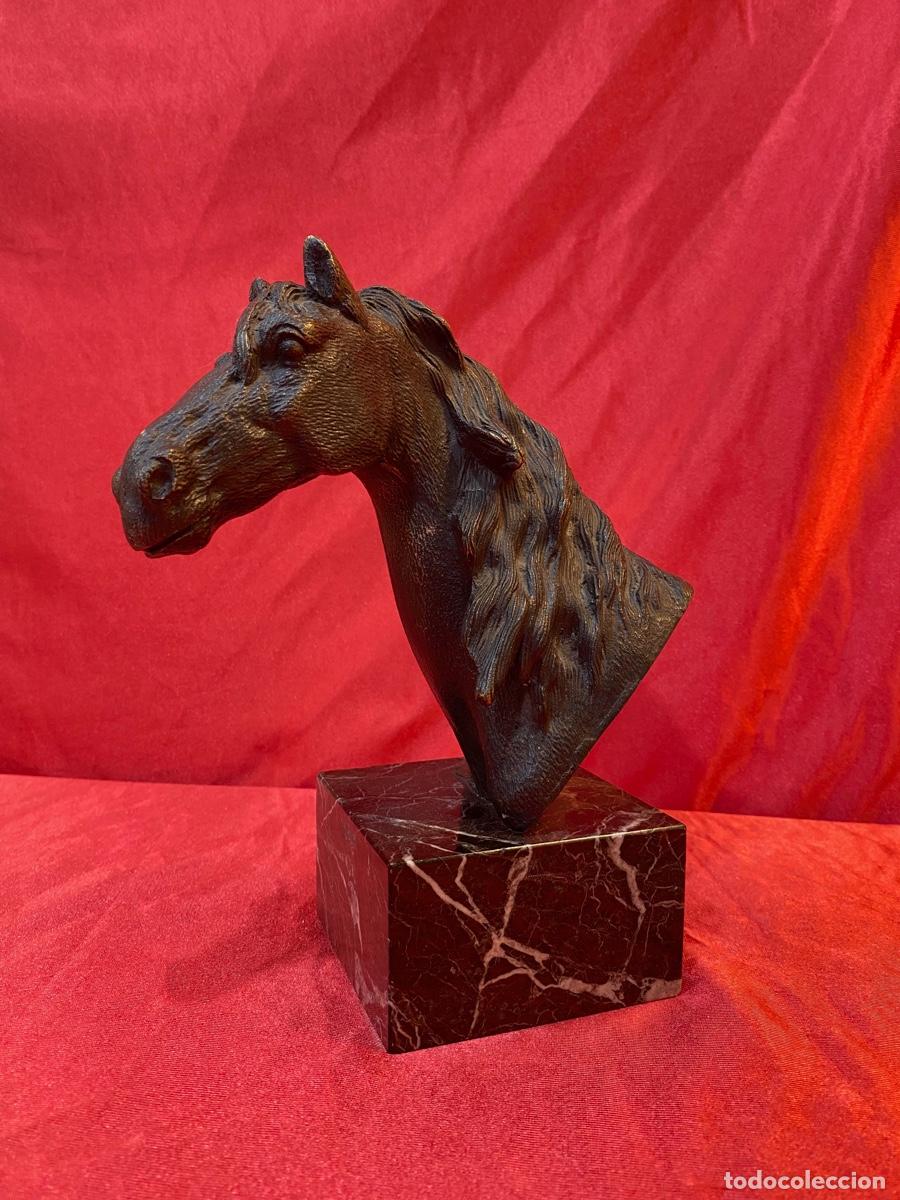 Arte: BUSTO CABALLO EN BRONCE - Foto 1