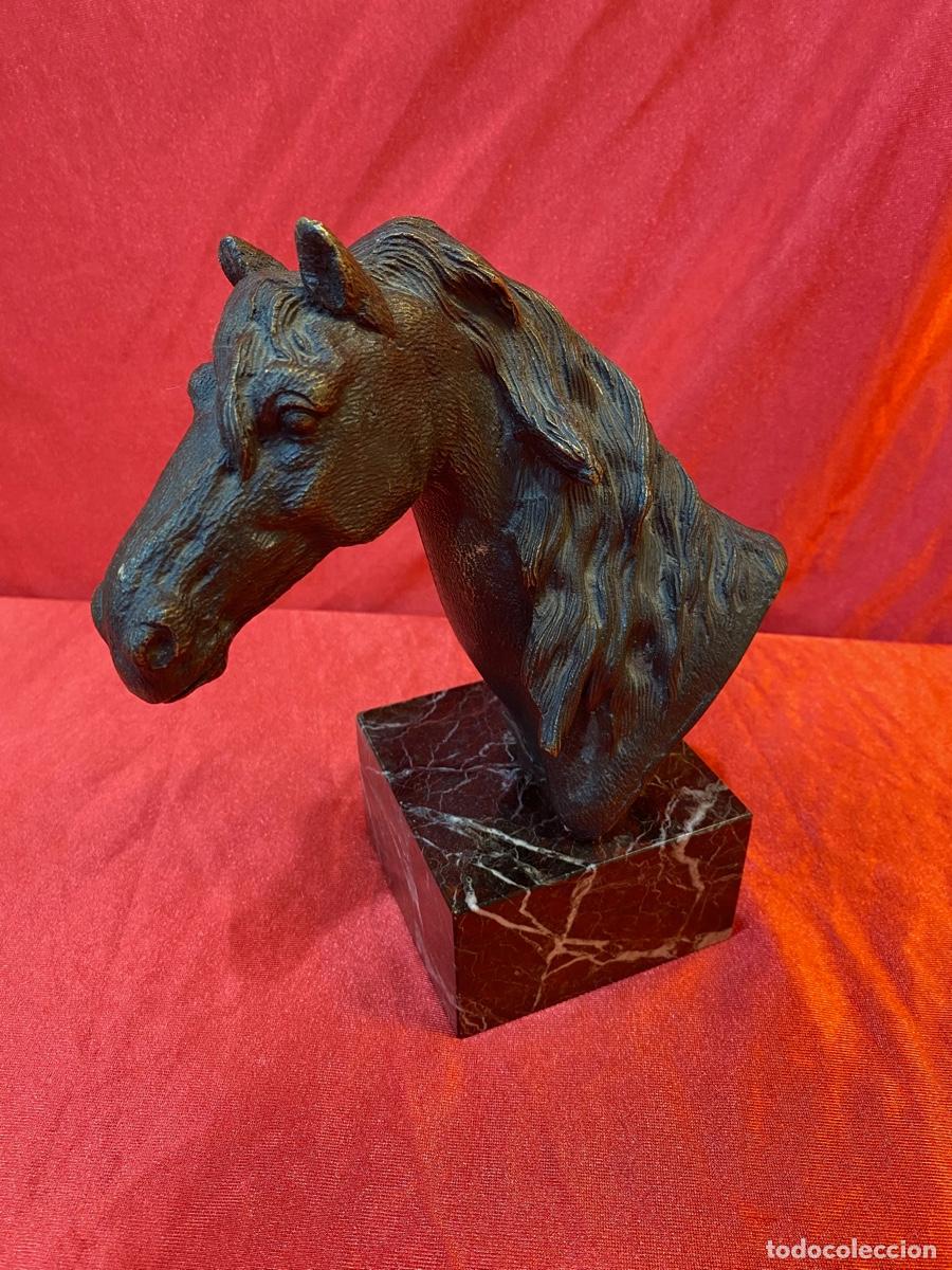 Arte: BUSTO CABALLO EN BRONCE - Foto 2