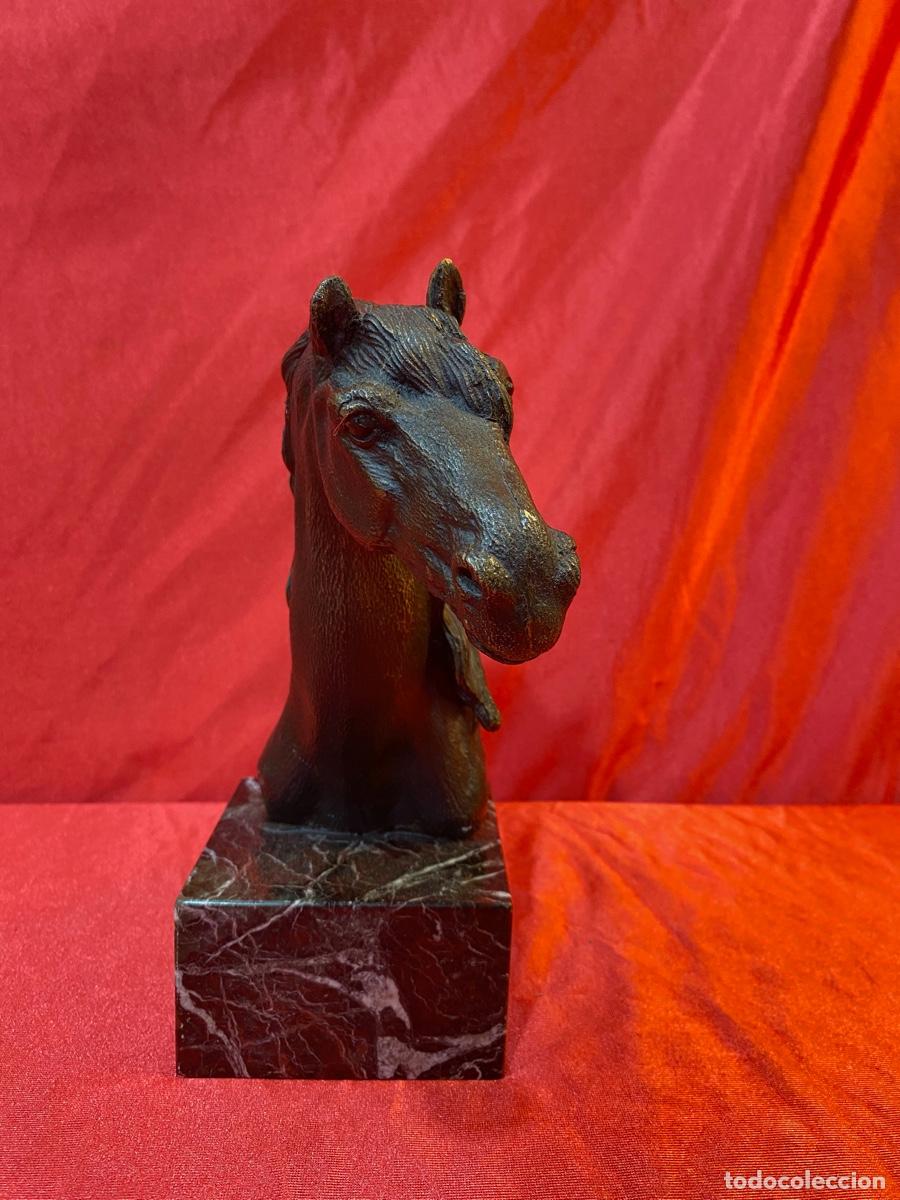 Arte: BUSTO CABALLO EN BRONCE - Foto 3